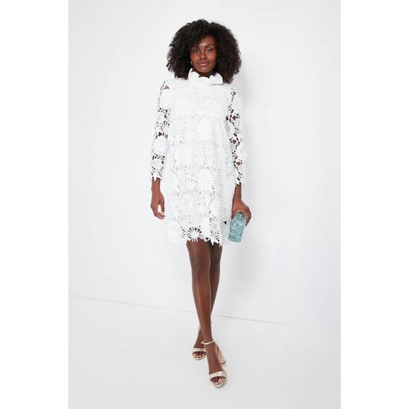 Tuckernuck Dresses & Skirts - Tuckernuck Blanc White Lace Guipure Daphne Mini Dress size small